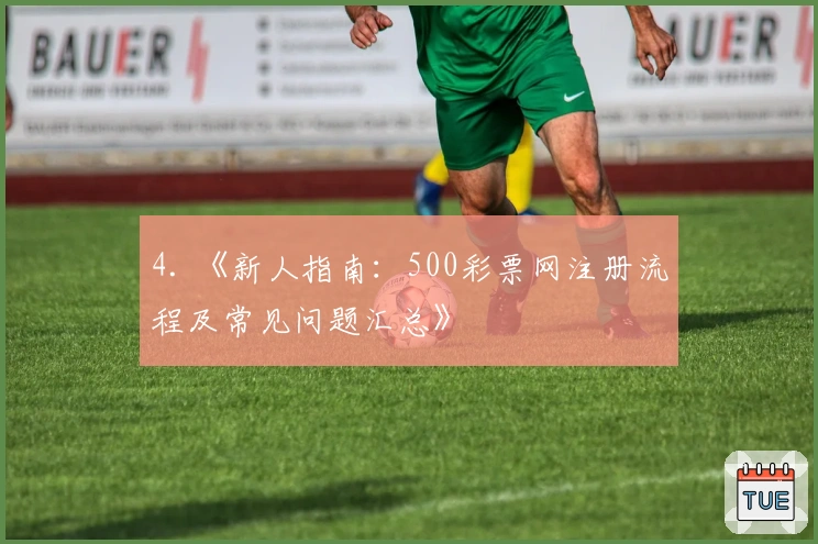 4. 《新人指南：500彩票网注册流程及常见问题汇总》