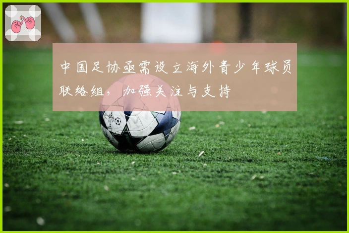 中国足协亟需设立海外青少年球员联络组，加强关注与支持