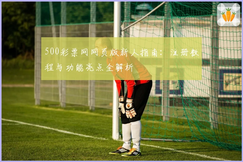 500彩票网网页版新人指南：注册教程与功能亮点全解析
